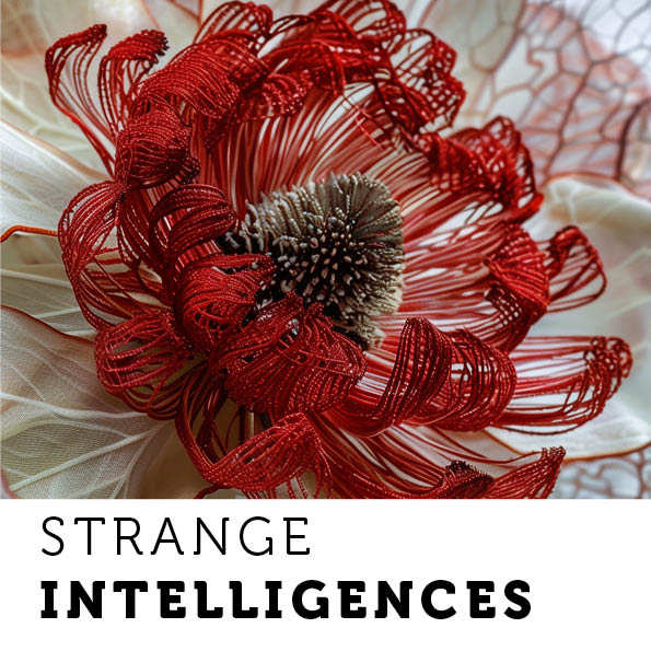 LATEST PUBLICATION